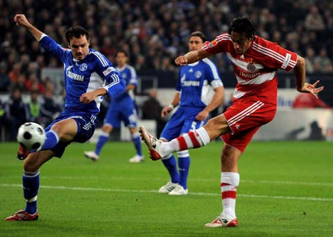 媒体对职业 媒体对职业